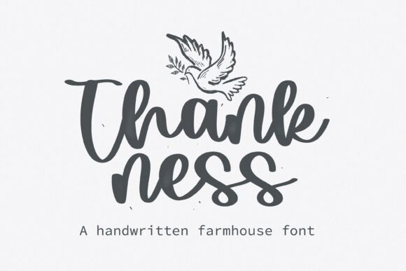 Thankness: The Font That Boosted My Brand’s Visual Consistency